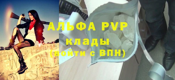 прущие грибы Мегион