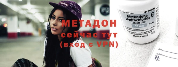 прущие грибы Мегион