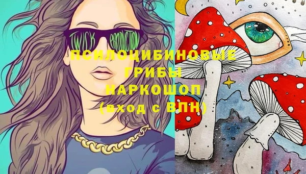 прущие грибы Мегион