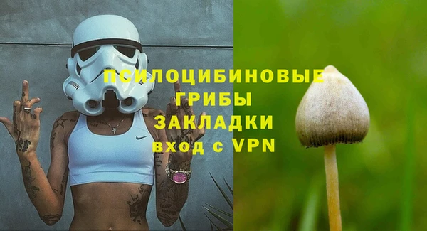 прущие грибы Мегион