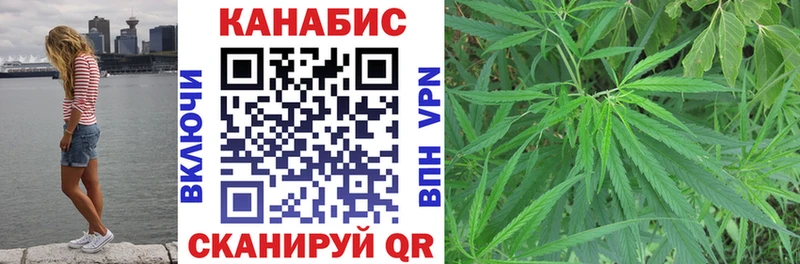 Купить  Артём  Бошки Шишки Amnesia 